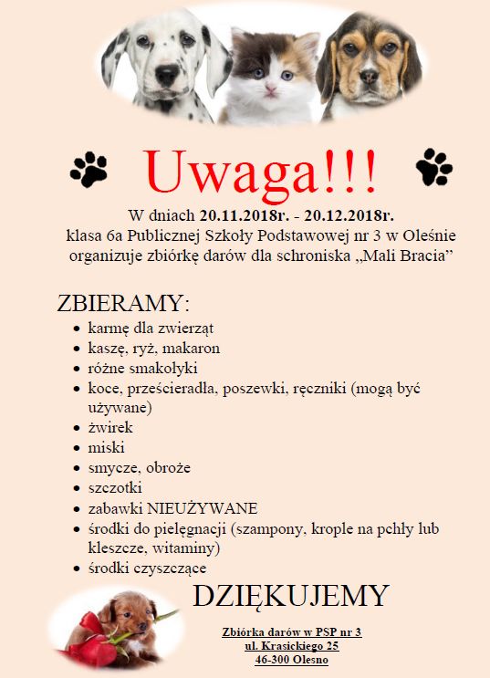 plakat schronisko