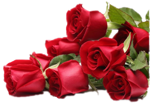 roze