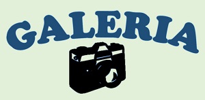 galeria ico
