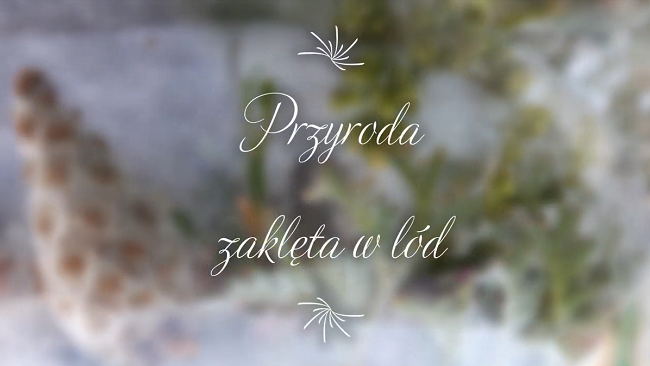 przyroda